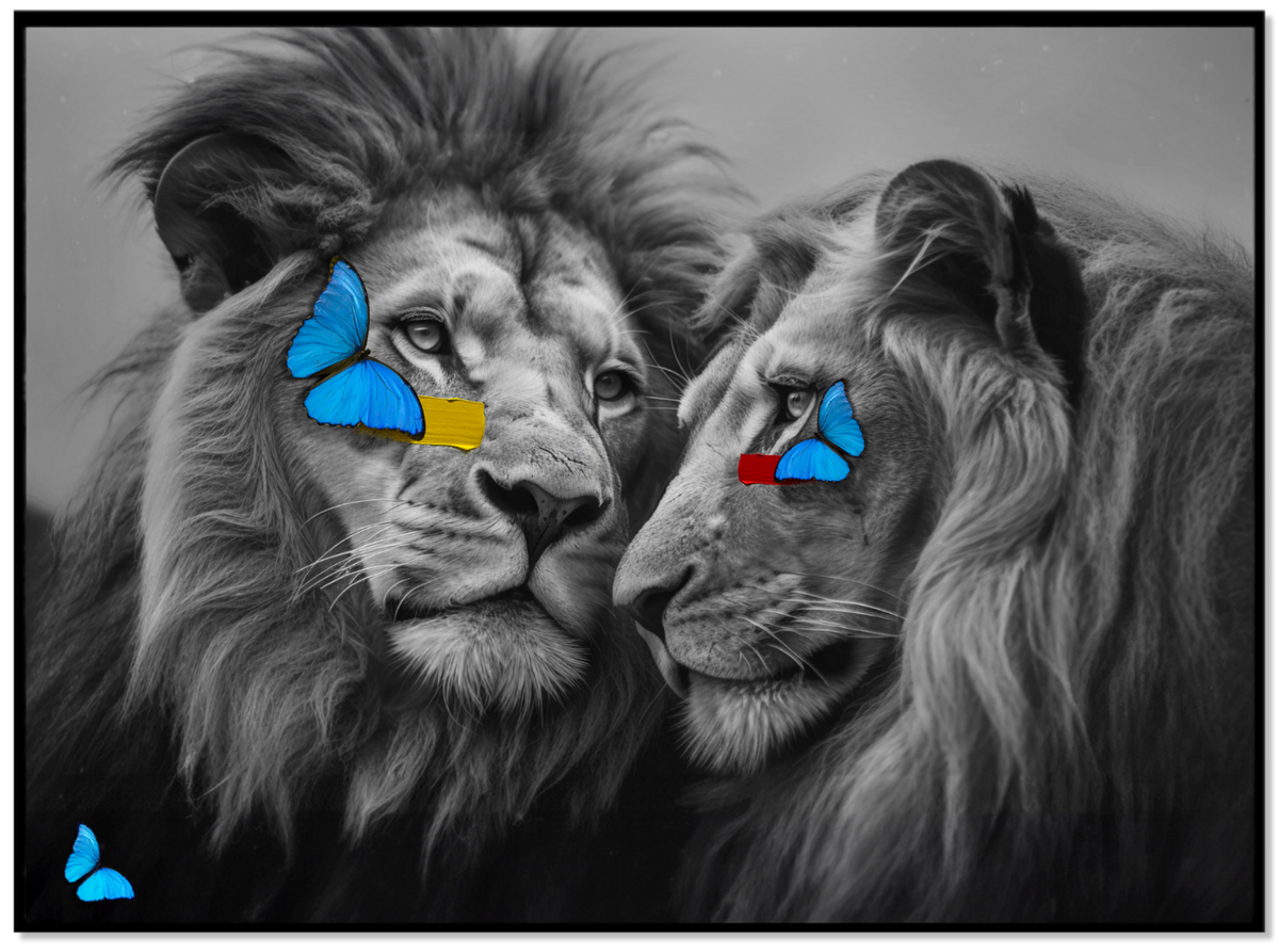 Me and You - Lions
