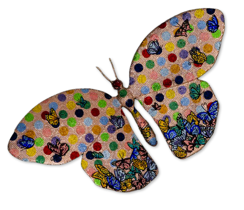 Butterfly Universal Law