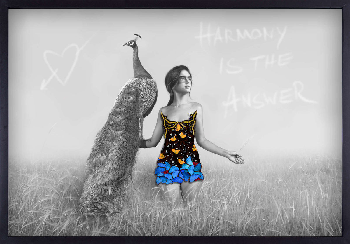 A Girl With a Peacock - Harmony